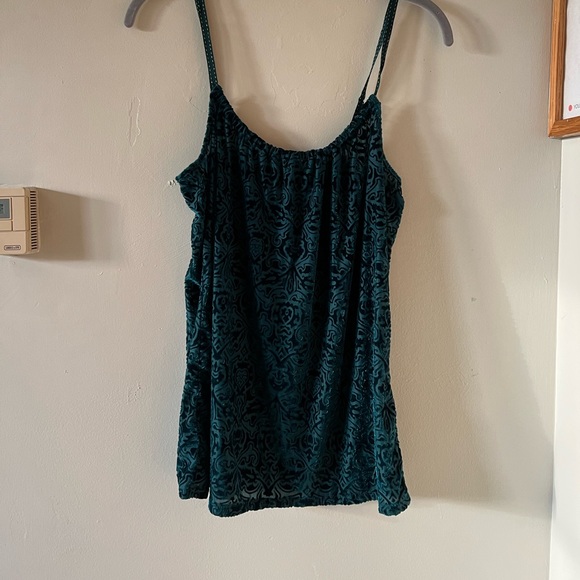 SOLD Green velvet/sheer top! - Picture 1 of 4
